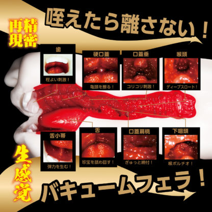 エロフェラ 人妻【アマガミ】舌技 水野朝陽3