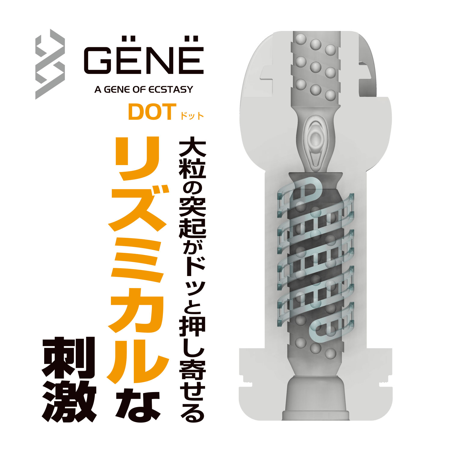 GENE 凸粒橙3 GENE 凸粒橙3