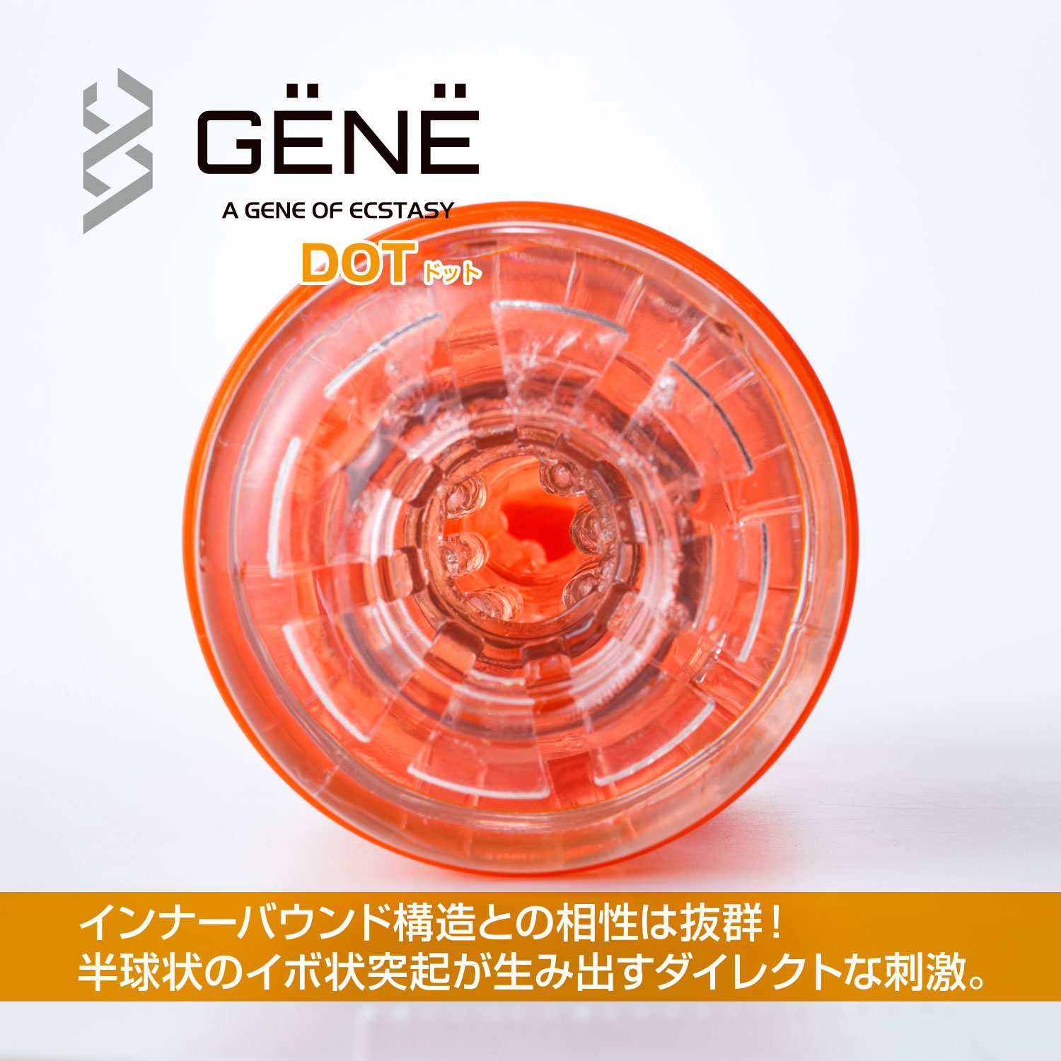 GENE 凸粒橙5 GENE 凸粒橙5