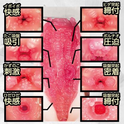 NPG 極上! 美女之H蜜穴 椎名空 名器7