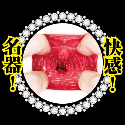 NPG-美人女僕 樞木葵 立即插入自慰器6