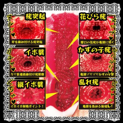 NPG - 美人女僕 相沢みなみ (相澤南) 立即插入自慰器8